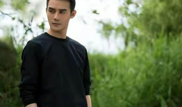 王凯主演电视剧有哪些,王凯影视生涯精彩剧作集锦