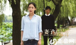 电视剧妻子的谎言,揭秘婚姻背后的真相与抉择